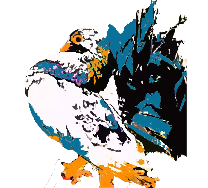 Merpati