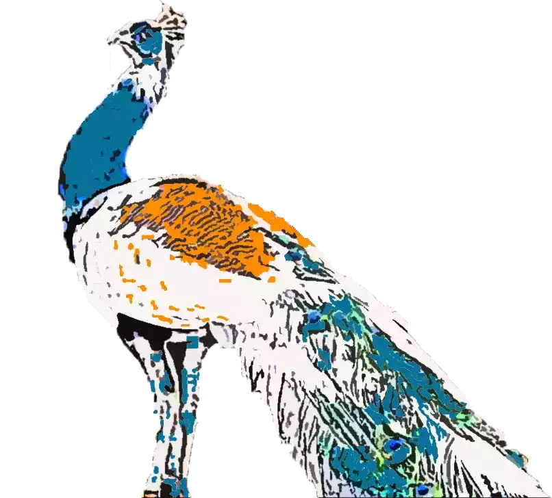 Burung