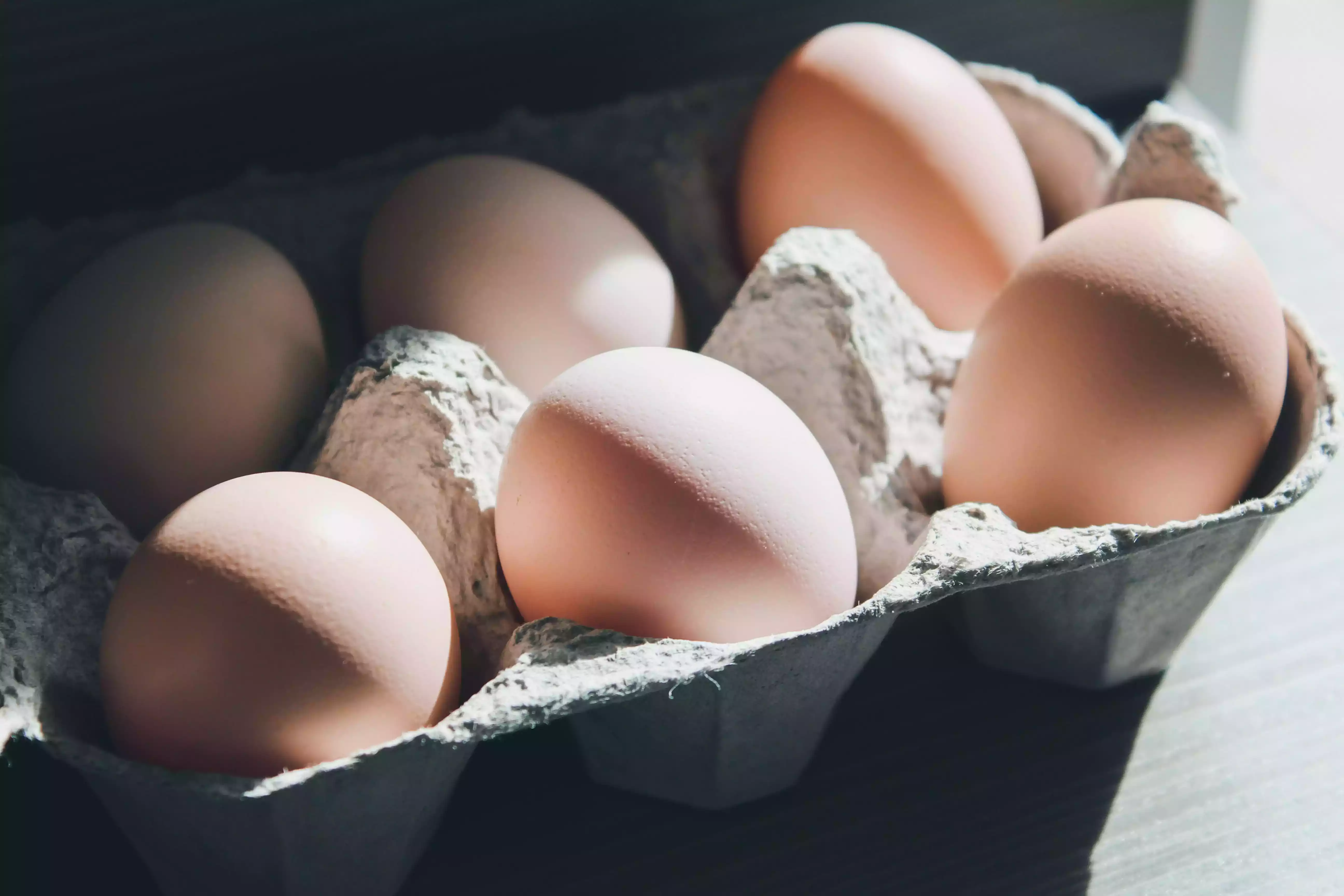 Prospek Pasar Telur dari Ayam Elba dan Ayam Petelur Merah di Indonesia