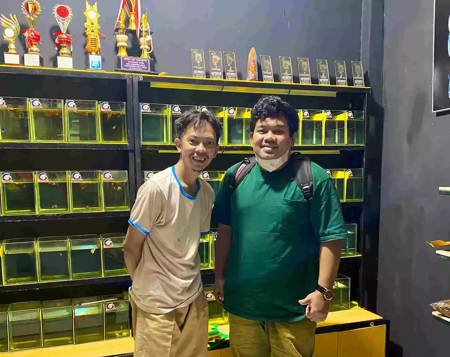 Partner Ikan Cupang